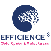 Logo Efficience